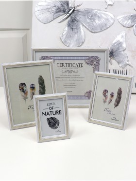 Feather Picture Frame